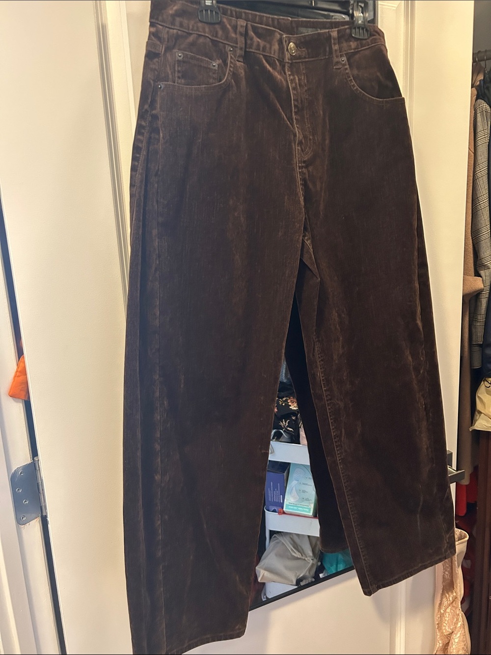 Zara Wide-Leg Brown Corduroy/Velvet Pants